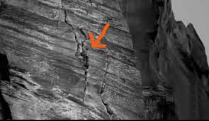 Alex Honnold Half Dome FREE