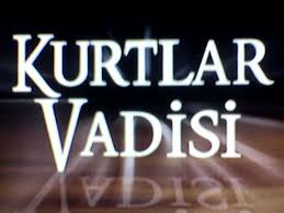 Kurtlar Vadisi Pusu