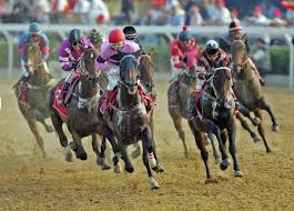 horse racing