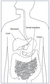 What is celiac disease?