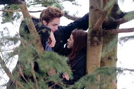 twilight photos
