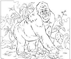 national geographic coloring sheets