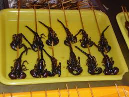 eat scorpion