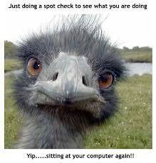 just-checking.jpg&t=1