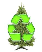 Recycle Christmas tree