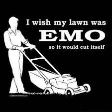 http://t3.gstatic.com/images?q=tbn:KNhXZgw3Ft1kVM:http://www.emo-site.com/images/emo/emo_lawn_tshirt.jpg&amp;t=1