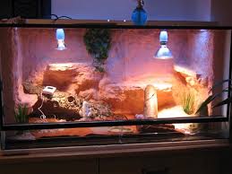 Terrarium
