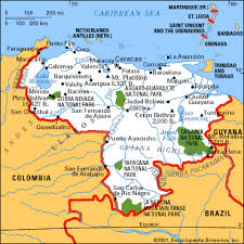The Venezuelan flag was