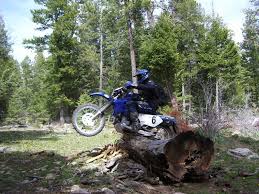 dirt bike wheelies