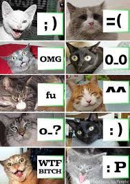 cat emoticon