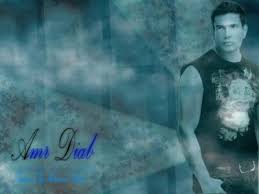 amr diab 2008