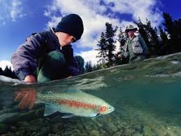 rainbow trout fishing