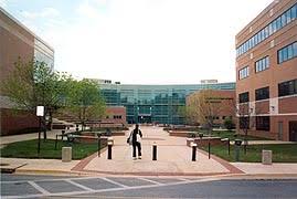 Anne Arundel Community College