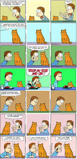 real cat pictures