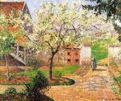 pictures plum trees