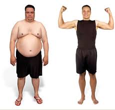 are on the same HCG diet.