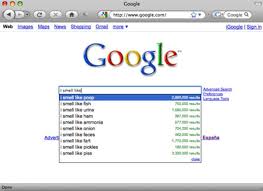 funny google searches