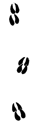 animal tracks clipart