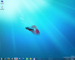 serial win 7