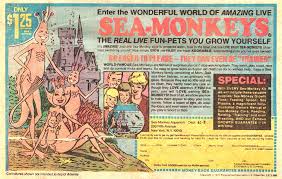 sea monkeys