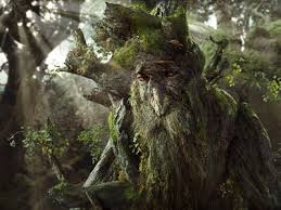 lord of the ring pictures