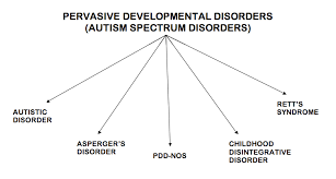 autism spectrum