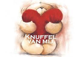 Bekijk de afbeelding op ware grootte