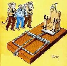 funny cartoon pics