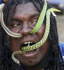 real snake pictures
