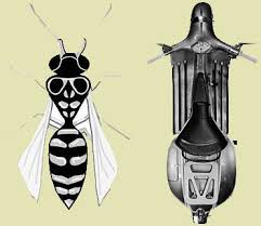 ,.,., Wasp