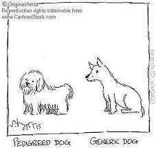 dogs breeding