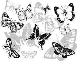 black butterflies