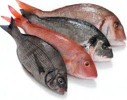 Entregan pescado a familias vulnerables de Puerto Peñasco