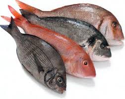 سمك كثيييييير روعه Fresh%2520fish