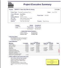 executive summary example