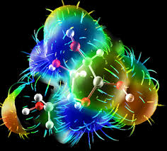WP1: Bio GRID