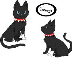 warrior cat scourge