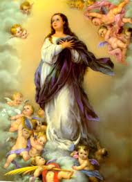 the Immaculate Conception