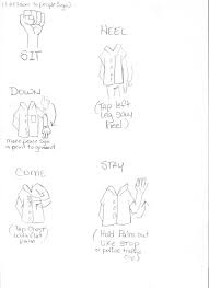 dog hand signals
