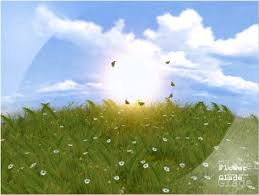 animated gif butterflies