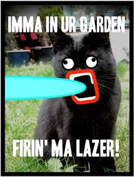 lazer