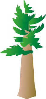 pine tree clip