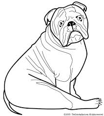 bulldog coloring pages