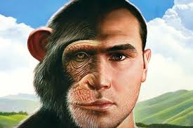 uomo animale sociale