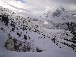 الثلوج في الجزائر 715p2103738h104115l1lk8