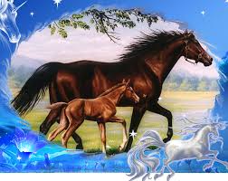 images?q=tbn:PqbnWZcoamQlsM