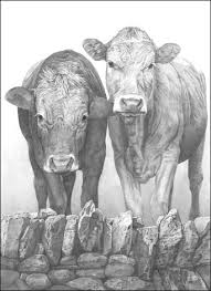 people drawings