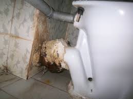 I was a non-teenage fluffer