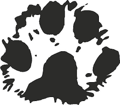 lynx paw print