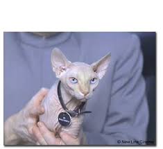 RE: MW2 map pack price? Date